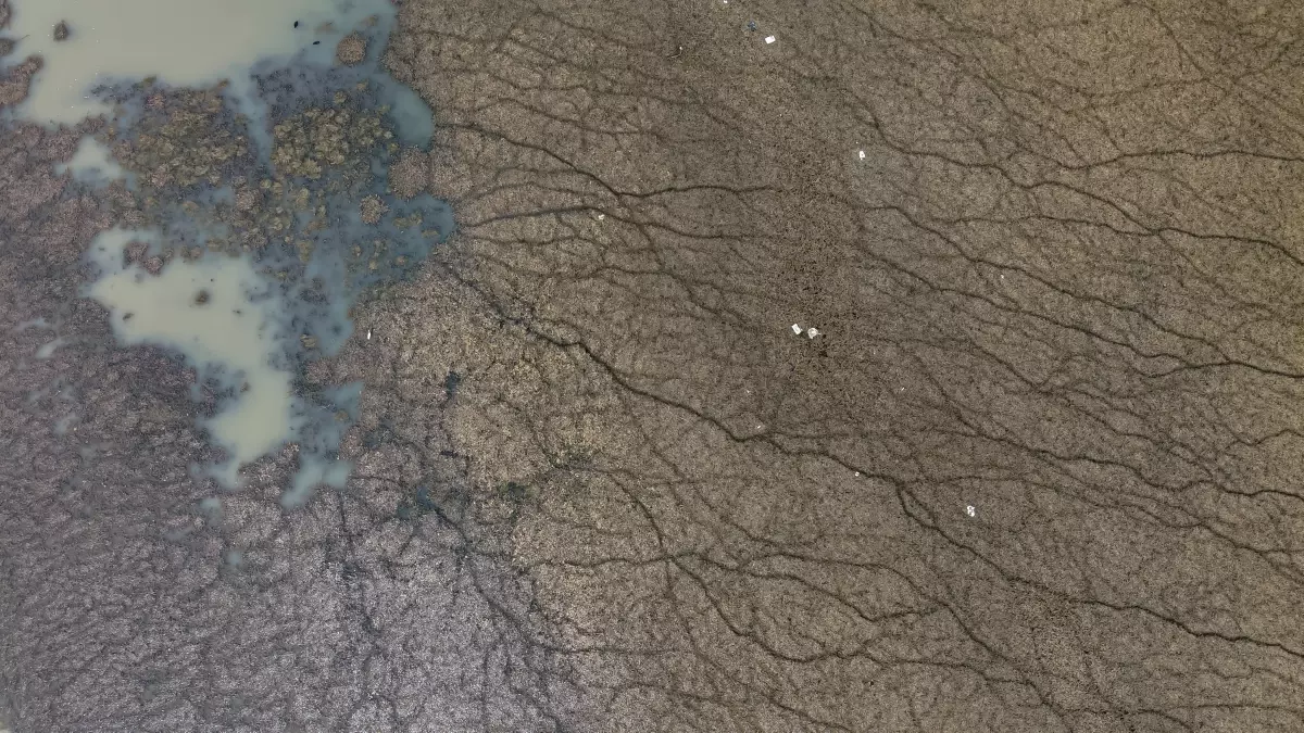 beysehir golunde su seviyesi kritik duzeye dustu mjeTTeqV