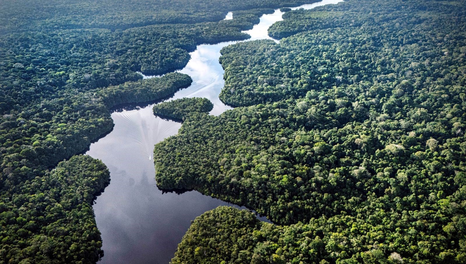 felakete geri sayim dunyanin en buyuk akcigeri kuruyor e95G7kzt