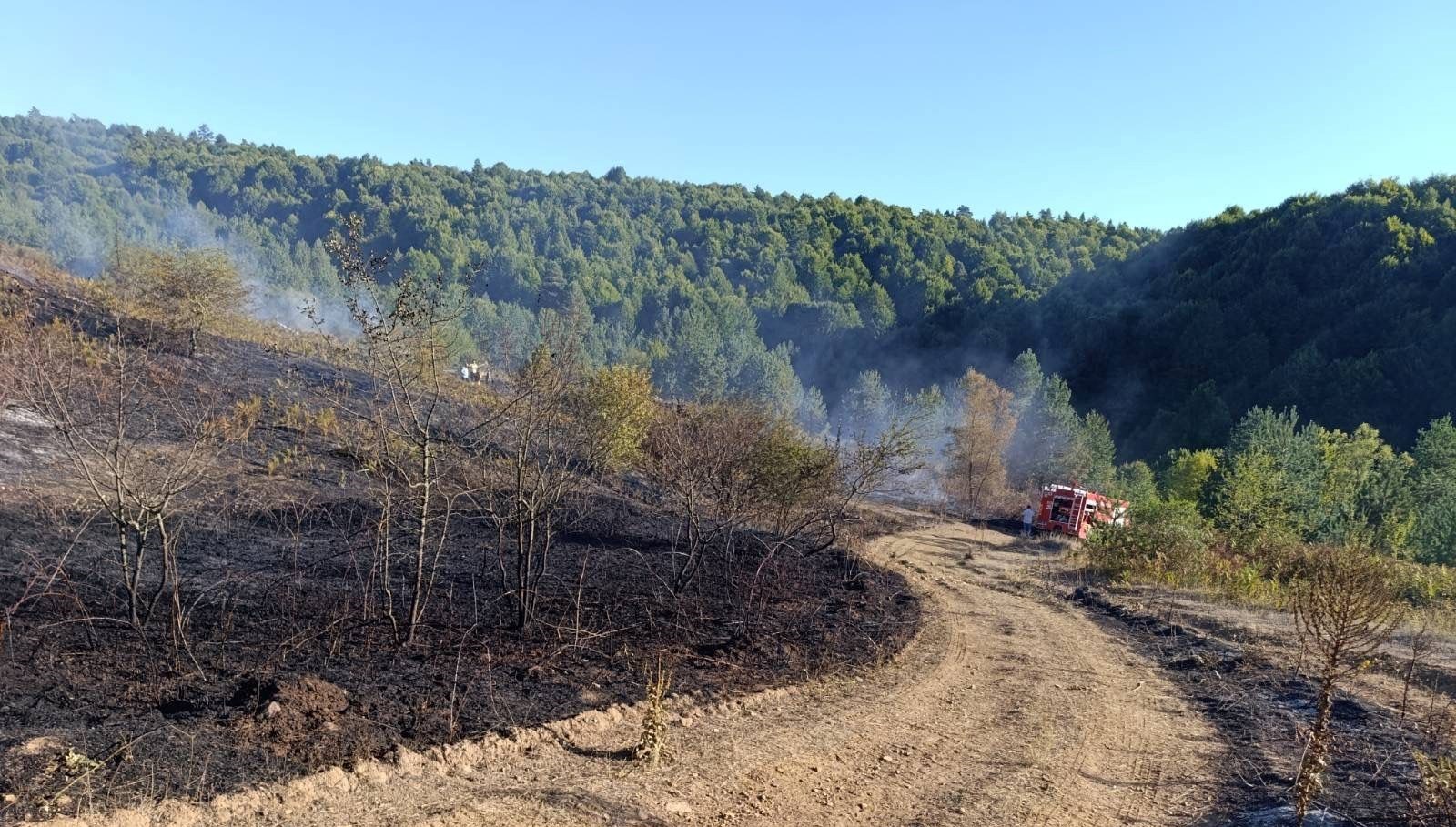 bilecik pazaryeri yangini buyumeden sonduruldu r1x92auG
