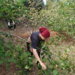 hasadi file orguyle yapiliyor yuzde 80 tasarruf sagliyor rekolte bu yil rekor kirdi 7lx4m2eE