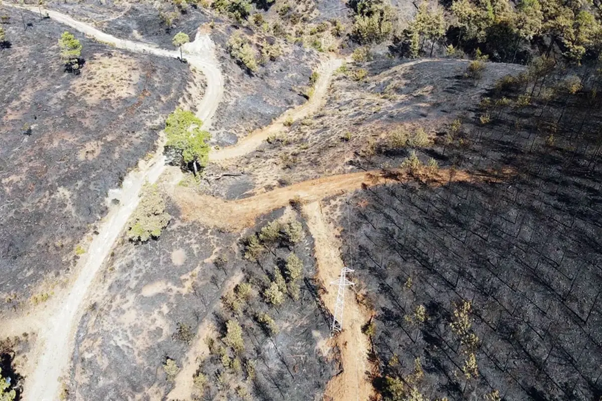 koycegiz orman yangini ikinci gunde kontrol altinda vtVORciM