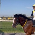 talihsiz kaza arkadasinin birinciligiyle taclandi 59fz2jIh