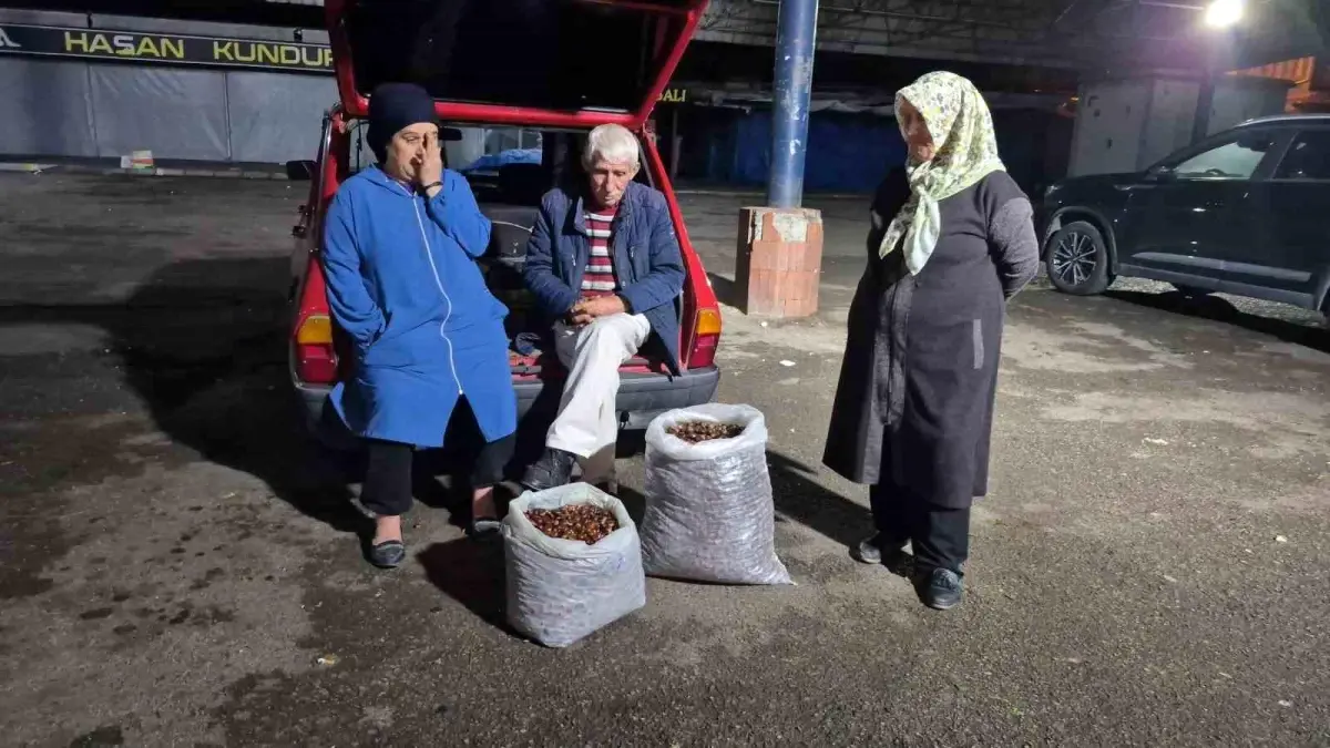 kuraklik kestane rekoltesini vurdu fiyatlar yukseliyor eTzmzdfY.jpg
