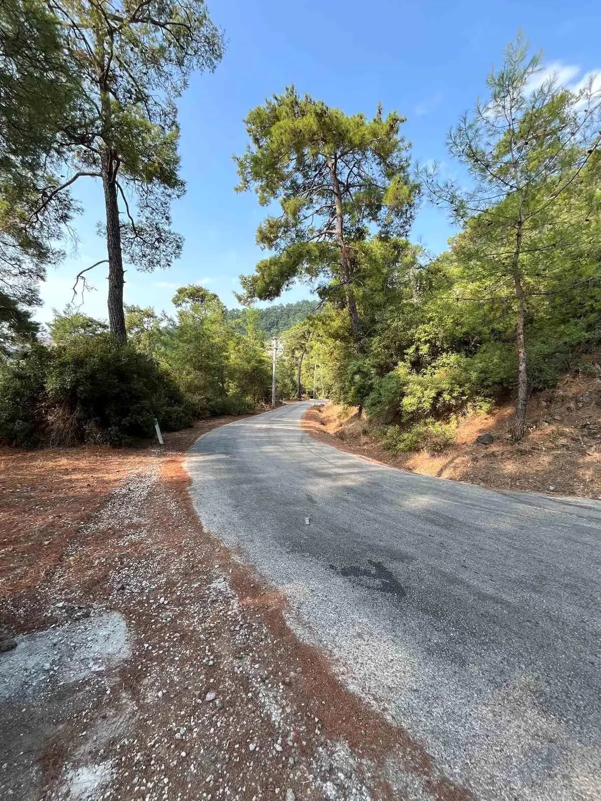 marmariste yangin onleme calismalari yayginlasirken ipDfsqWF