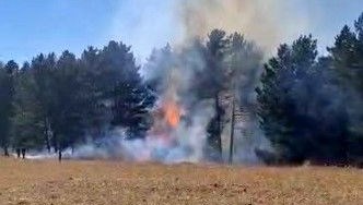 Sarıkamış’ta orman yangını