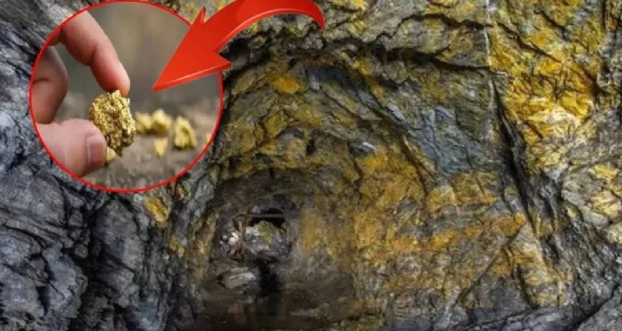 dunyanin en derin 10 altin madeni yerin altina iniyorlar kulce kulce altin cikariyorlar ImsKldvH.jpg