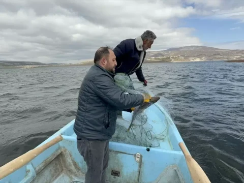 Çekerek Barajı’nda Su Seviyesi İki Kat Arttı