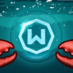 ayni-ipden-kac-bot-calistiriyorsun-risk-buyuyor-WqEcjAdP-1