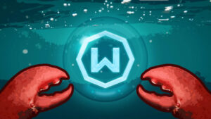 ayni-ipden-kac-bot-calistiriyorsun-risk-buyuyor-WqEcjAdP-1