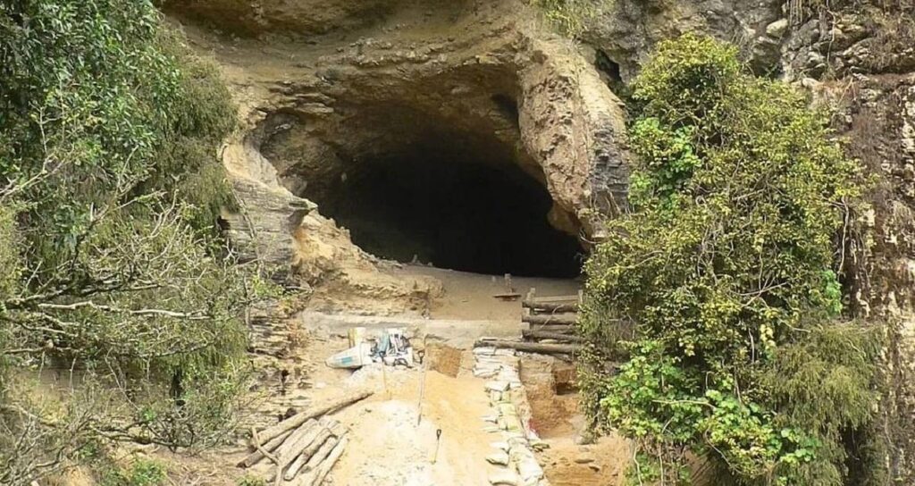 kopegin-pesinden-ormana-kostu-buyuk-hazineyi-buldu-magaraya-girisler-kapatildi-EYQPLp7V-1