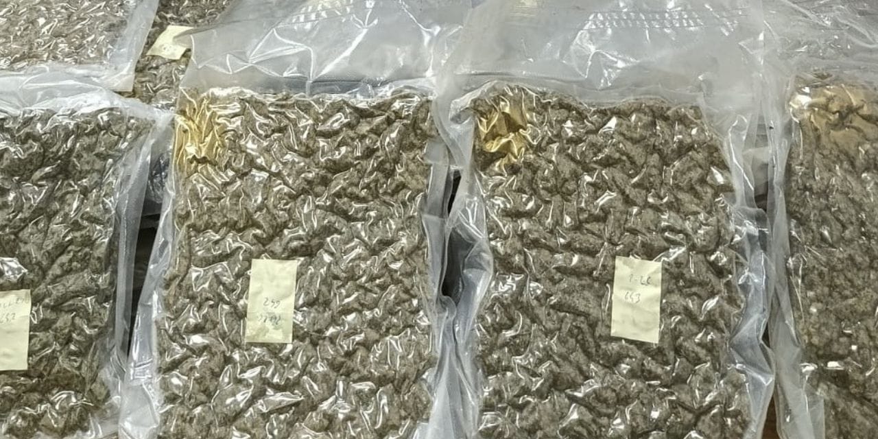 Karasu Kumsalında Uyuşturucu Madde Ele Geçirildi