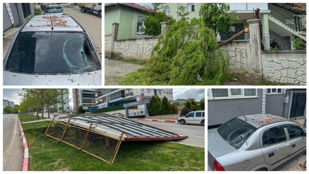 Pullar ve Kartpostalların Hindistan Nüfus Sayımındaki Rolü