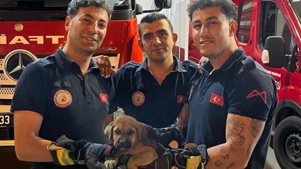 Mersin’de Yavru Köpek Otomobilin Motoruna Sıkıştı, İtfaiye Ekipleri Kurtardı