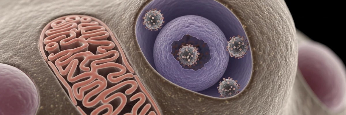 HPV Aşısı Hakkında Bilmeniz Gerekenler